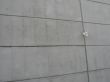 concrete architecture