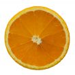 Thin slice of an orange
