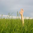 The hand stretched from a grass