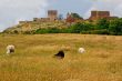 Hammershus, ruins of a castle in Bornholm, Denmark