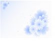 Winter, flower background