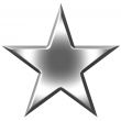 3D Silver Star