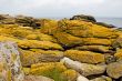 stony coast at the Baltic Sea, Bornholm, Denmark