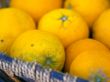 oranges