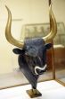 minotaur head