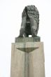 lion bottom