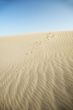 footsteps on the sand