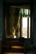 flowers in the mirror