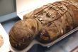 egyptian mummy