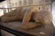 deadman pompeii