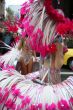carnival feathers