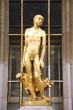 golden boy