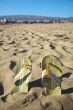 flip-flop at the beach