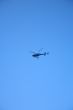 blue helicopter