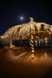 night parasol