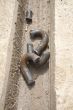 broken chain