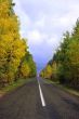 Autumn road