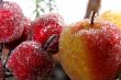 decorative apples