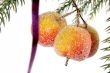 decorative apples