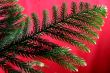 exotic christmas tree