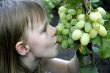 girl eat the grape