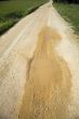 puddle in the track