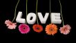 LOVE decorated with flowers