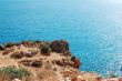 Wild sea coast