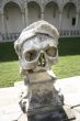skull with tiara