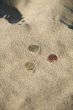 three coins at the beach