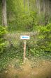 right arrow sign