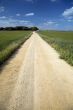 sand track