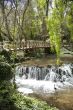 river at the forest