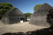 tribe cabins