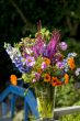 Summerflowers