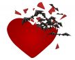 Bats from heart