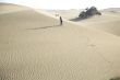 walking the dune