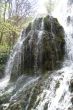 waterfall and moss