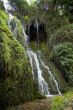 waterfall and plants