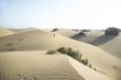 walking at the desert