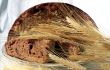 Farm bread and rye