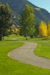 Aspen Golf Course with Pines