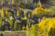 Aspen Condos - Getting Ready for Winter