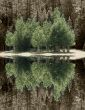 trees