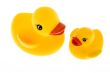 rubber duck