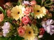 Bouquet flowers