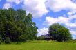 Rural landscape
