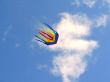 Rainbow Kite