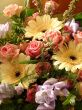 Bouquet flowers