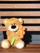 Toy teddy bear